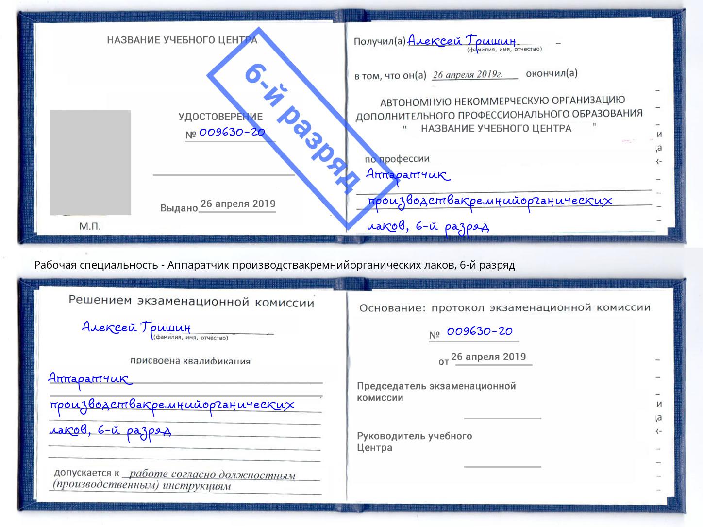 корочка 6-й разряд Аппаратчик производствакремнийорганических лаков Миллерово